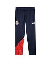 Puma Men's Navy Chivas 2024/25 ftblCulture dryCELL Track Pants