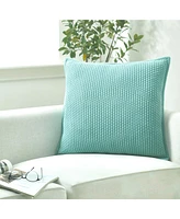 Ihi Home Popcorn Weave Pillow, 22"Sq