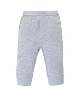 Touched by Nature Baby Boys Organic Cotton Pants 4pk, Blue Gray, 18-24 Months