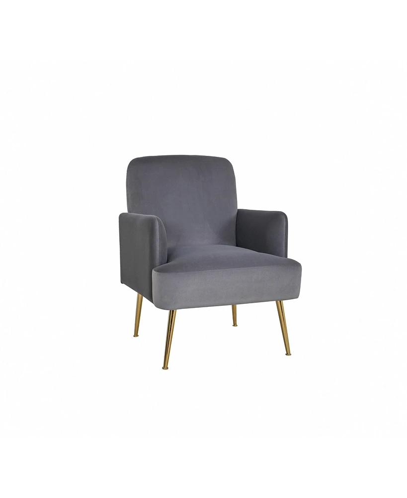 Hulala Home Rosa Contemporary Upholstered Armchair with Metal Legs