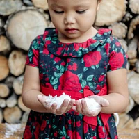 Hope & Henry Little Girls Short Sleeve Ruffle Collar Party Dress with Bow, Toddler|Child