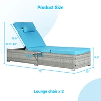 Gray Rattan Outdoor Sofa and Deck Chair