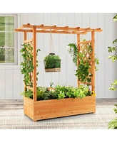 Givimo Raised Garden Bed with Trellis or Climbing Plant and Pot Hanging