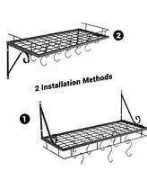 Yescom Aquaterior Wall Mount Cookware Rack with 10 Hooks Pan Pot Organizer Kitchen