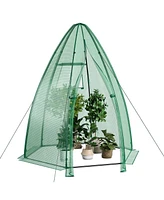 Skonyon 5.5 x 5.5 x 6 Feet Portable Mini Greenhouse with All-Weather Pe Cover