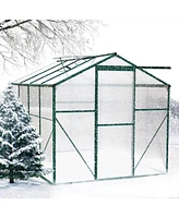 Sturdy 4mm Polycarbonate Greenhouse with Aluminum Frame and Sliding Door