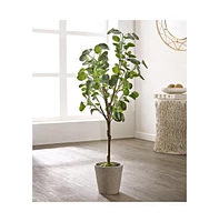 Safavieh Faux Polyscias Fruticosa Potted Tree