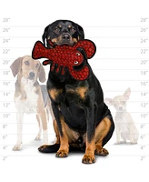 Tuffy Ocean Larry Lobster & Starfish Combo Pack, Durable Dog Toys