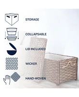 Jonathan Y Jacob Handwoven Wicker Storage Trunk