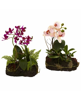 Slickblue Orchid Island Tropical Orchid Arrangement for Exotic Home Decor and Gifts (Set of 2)