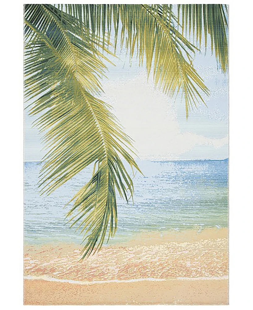 Safavieh Barbados Indoor/Outdoor BAR560A 8'x10'5" Area Rug