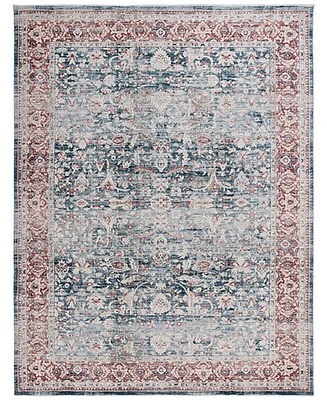 Safavieh Antique Patina ANP640M 9'x11'6" Area Rug