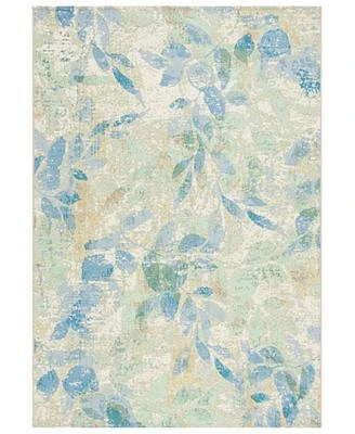 Safavieh Barbados Indoor Outdoor Bar594m Rug Collection