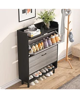 Tribesigns Shoe Cabinet, 2