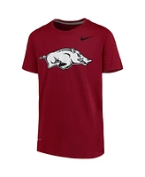 Nike Big Boys and Girls Arkansas Razorbacks Cardinal Logo Legend Performance T-Shirt