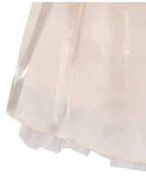 Rare Editions Baby Girl Shimmer Organza Social Dress