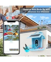 Cowin Smart Bird Feeder with Camera Auto Capture Ai Identify