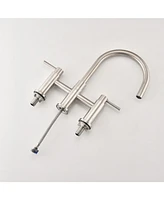Double Handle Bridge Kitchen Faucet with Side Spray