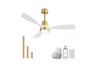 Sofucor 48" Ceiling Fan with Lights Wood Blades