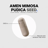 Amen Mimosa Pudica Seed Capsules - 2 Month Supply - Natural Organic Mimosa Pudica Seed Plant Supplement - Mimosine Sensitive Plant Pills