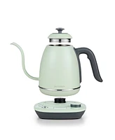 Buydeem 0.8-Liter Gooseneck Coffee Kettle with Temperature Control K821