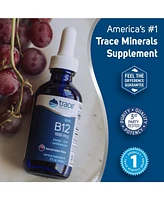 Trace Minerals Liquid Ionic Vitamin B12 1000 mcg | Dietary Supplement Powerd by Concentrace Full Spectrum Ionic Minerals | 2 fl oz, 59 Servings