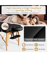 Vebreda Portable Adjustable Facial Spa Bed with Carry Case-Black