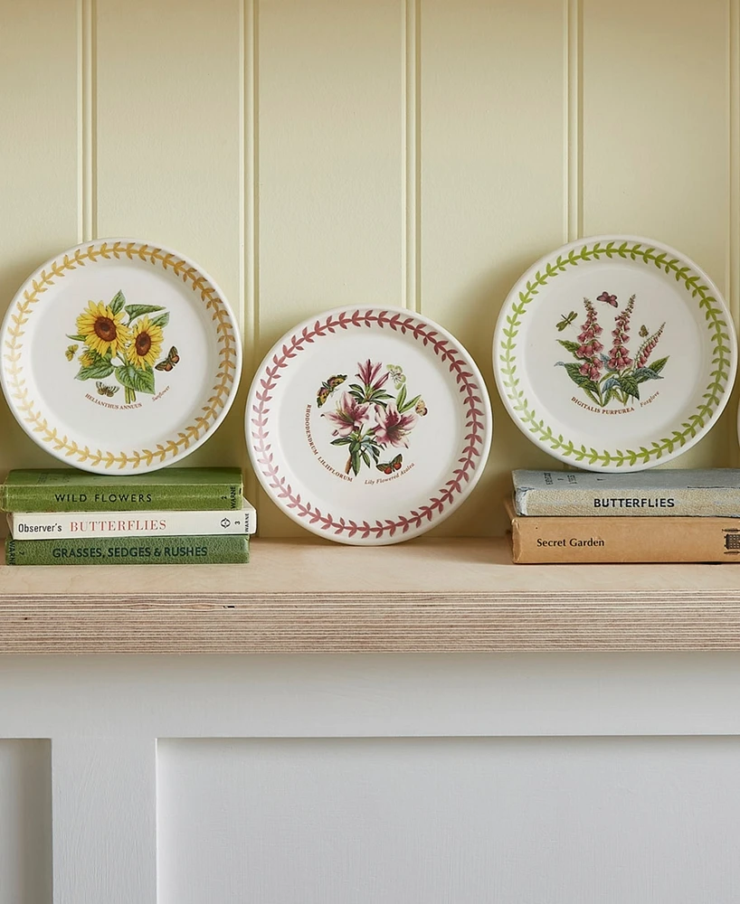 Portmeirion Botanic Garden Meadow Assorted Bread Plates, Set of 6