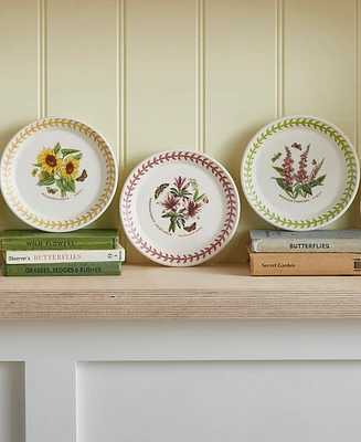Portmeirion Botanic Garden Meadow Assorted Bread Plates, Set of 6