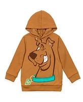 Scooby-Doo Toddler Boys Warner Bros. Scooby Doo Fleece Pullover Hoodie