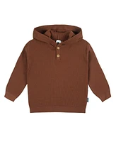 Gerber Toddler Boys Hooded Sweater Top and Pant Knit Set