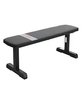 Sunny Health & Fitness Flat Weight Bench Press, Home Gym Workout Exercise Equipment, 800 lb Weight Capacity, Sf-BH620037