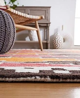 Safavieh Rodeo Drive Iv Rd913z Rug Collection