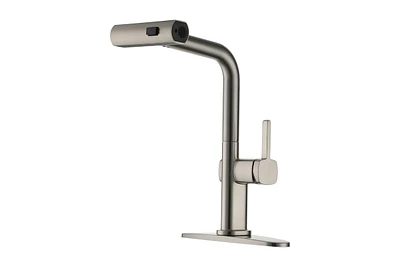 Casainc Single Handle Pull Out Kitchen Faucet