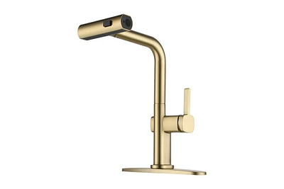 Casainc Single Handle Pull Out Kitchen Faucet
