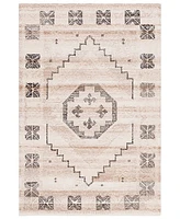 Safavieh Ebony Ii EBN608D 4'x6' Area Rug