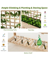 Givimo Wooden Raised Garden Bed with Wheels Trellis and Storage Shelf