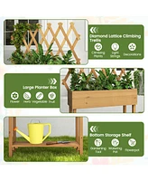 Skonyon Wooden Rolling Raised Garden Bed with Trellis and Storage Shelf