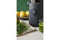 Hurom H310 Personal Easy Clean Slow Juicer