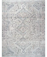 Livabliss Eleni Vvel-2301 6'7"x9' Area Rug