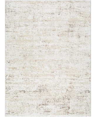 Livabliss Andorra Plus Arp-2305 5'3"x7'3" Area Rug