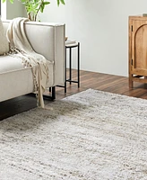 Livabliss Andorra Plus Arp-2305 7'10"x10' Area Rug