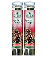 National Tree Company Scentsicles Scented Ornaments, 6 Count Bottles, Snowberry Pine - 2 Pack