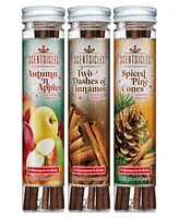 National Tree Company Scentsicles Scented Ornaments, 6 Count Bottles, Autumn 'n Apples, Two Dashes of Cinnamon and Spiced Pine Cones - 3 Pack