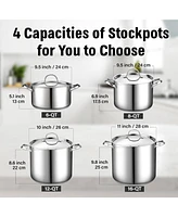 Cooks Standard -Quart Classic Stainless Steel Stockpot with Lid