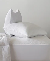 Ella Jayne Simple Comfort Down Alternative 2-Pack Pillow, Standard