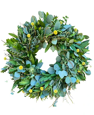 GreenishBlu Bayleaf, Baby Blue Eucalyptus, Rosemary, Curly Willow and Yellow Billy Balls Real Aromatic Wreath, 22"