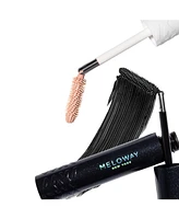 Meloway Little Black Dress of Eye Makeup Set