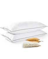 Cheer Collection Soft and Silky Cotton Kapok 2-Pack Pillows