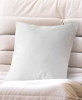 Cheer Collection 2-Pack Pillow Insert